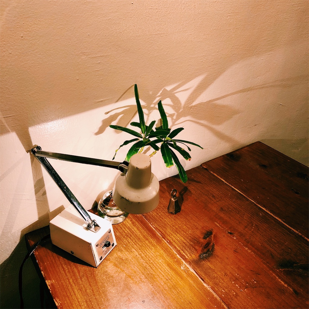 f:id:ciiiro:20190403213227j:image