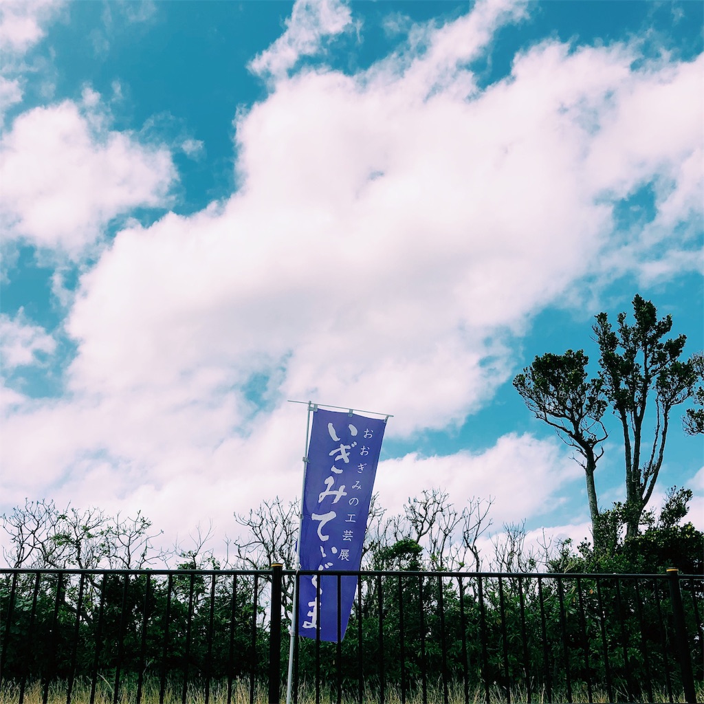 f:id:ciiiro:20190406215709j:image