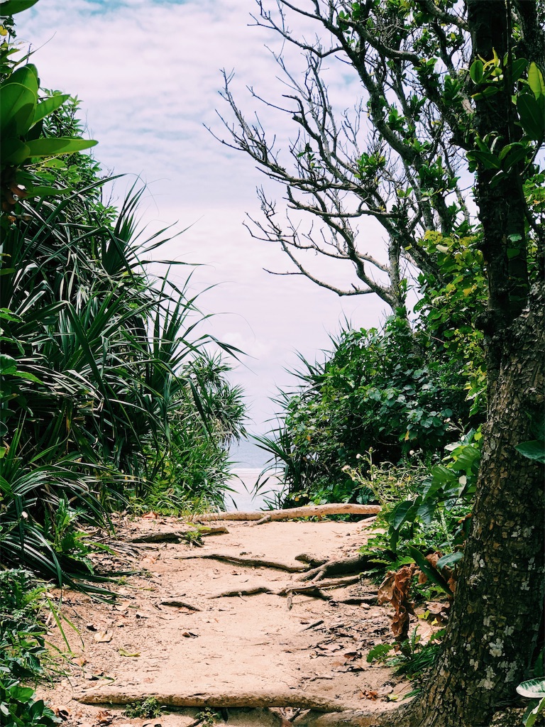 f:id:ciiiro:20190513114945j:image