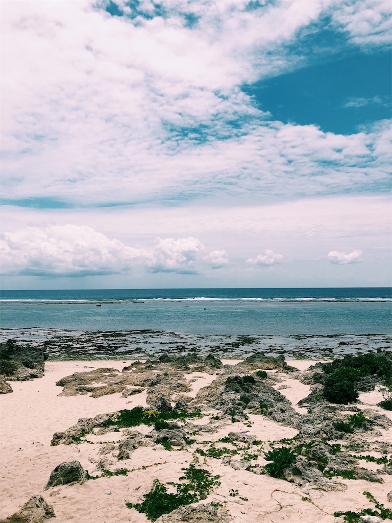 f:id:ciiiro:20190513115005j:image