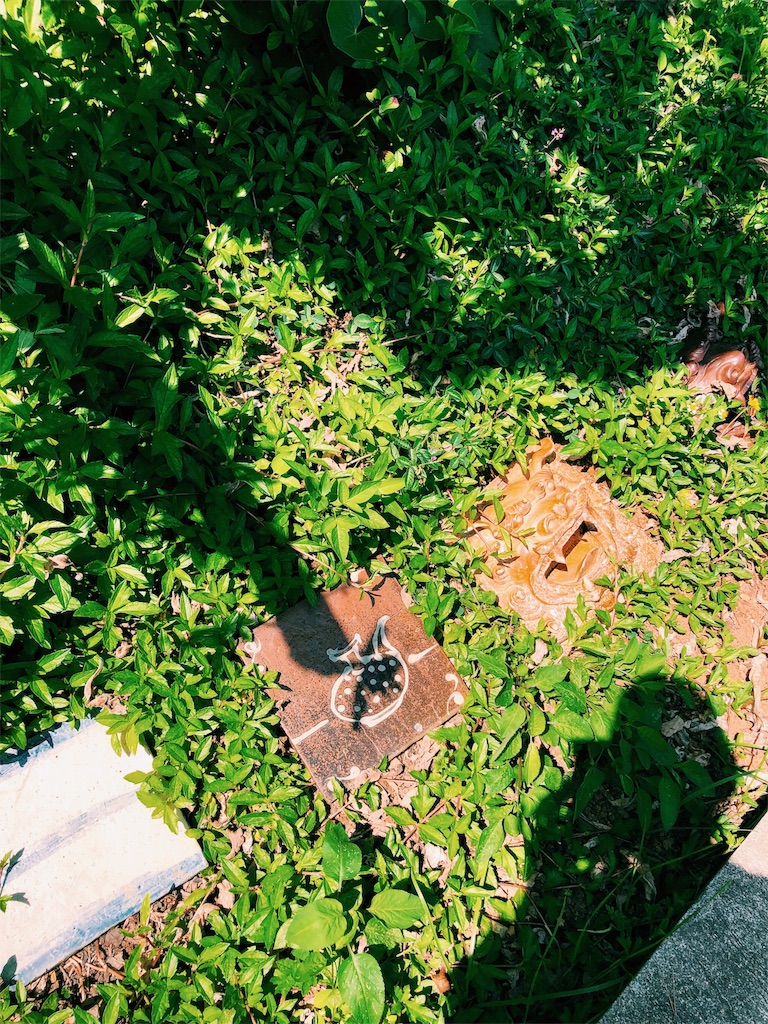f:id:ciiiro:20190524120038j:image